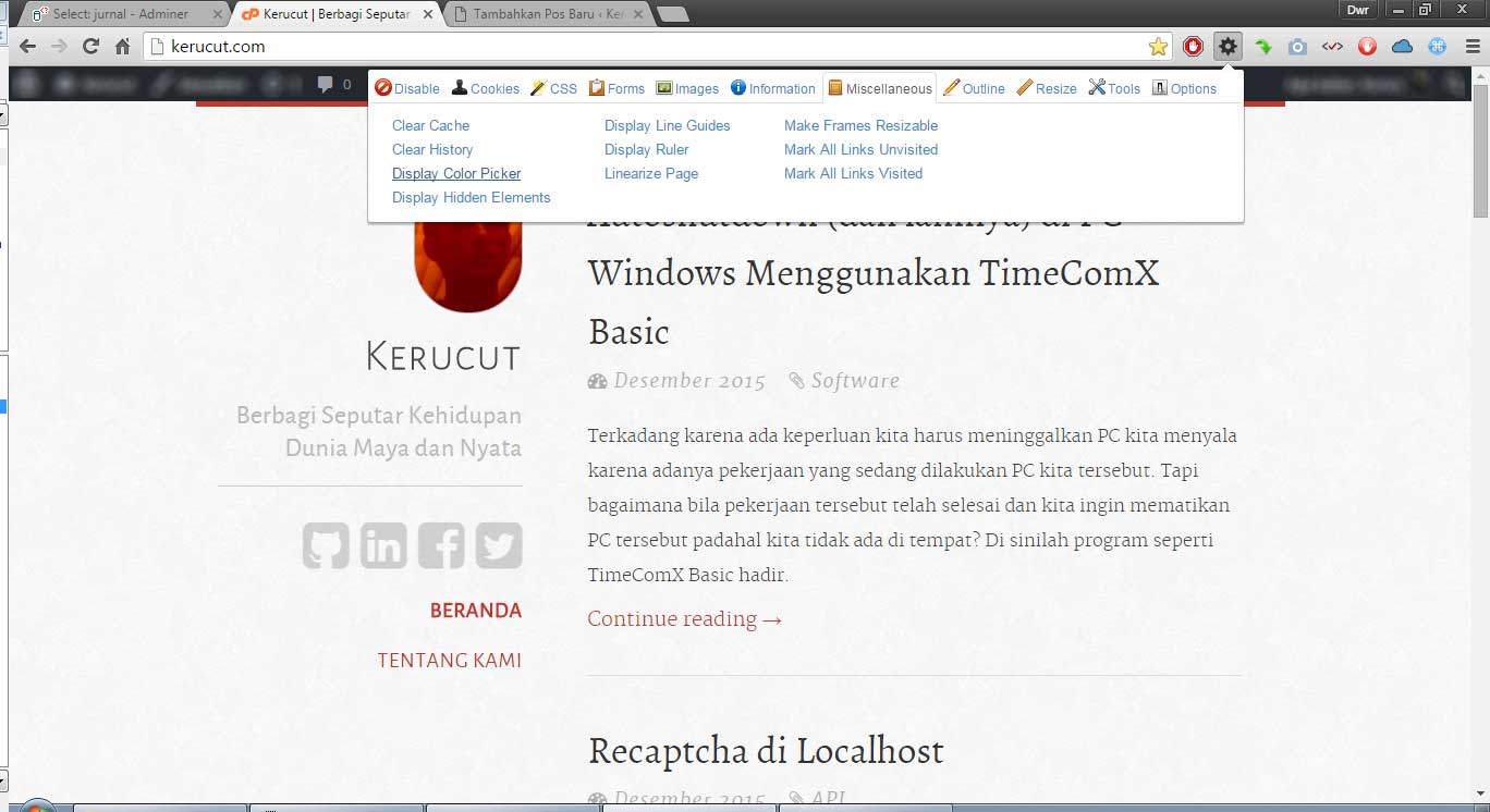 Web Developer Chrome extension  Color Picker